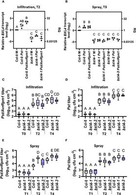 β-D-XYLOSIDASE 4 modulates systemic immune signaling in Arabidopsis thaliana